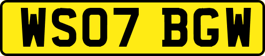 WS07BGW
