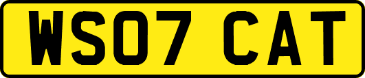 WS07CAT