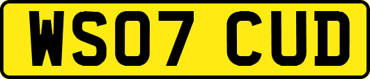 WS07CUD