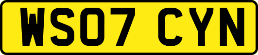 WS07CYN