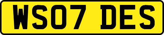 WS07DES