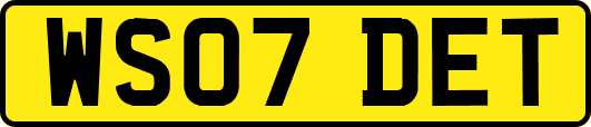 WS07DET