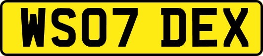 WS07DEX