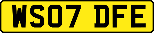 WS07DFE