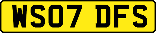 WS07DFS