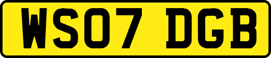 WS07DGB