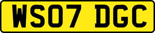 WS07DGC