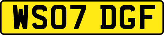 WS07DGF