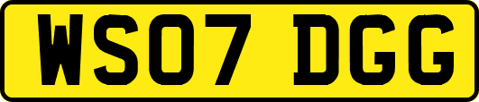 WS07DGG