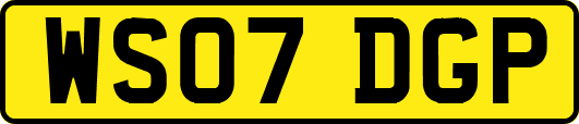 WS07DGP