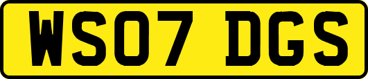 WS07DGS