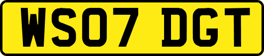 WS07DGT