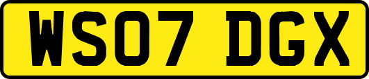 WS07DGX