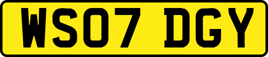 WS07DGY