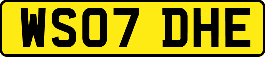 WS07DHE