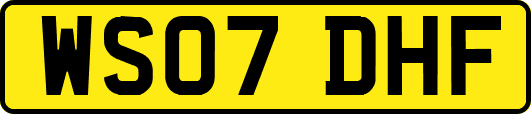 WS07DHF