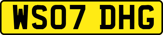 WS07DHG