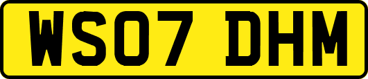 WS07DHM