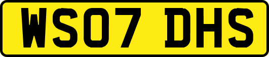 WS07DHS