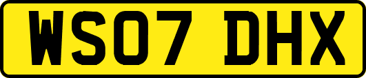 WS07DHX