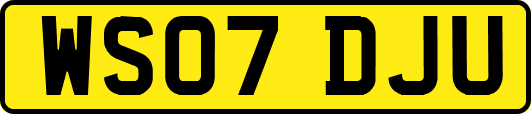 WS07DJU