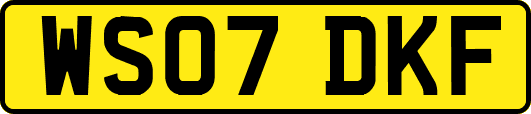 WS07DKF