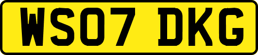 WS07DKG