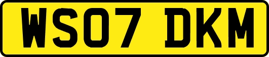 WS07DKM