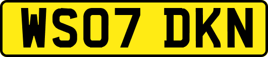 WS07DKN