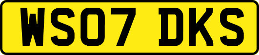 WS07DKS