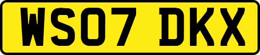 WS07DKX