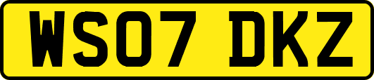 WS07DKZ