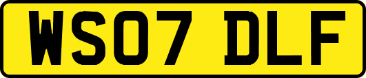 WS07DLF