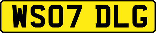 WS07DLG