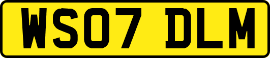 WS07DLM
