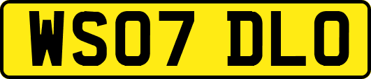 WS07DLO