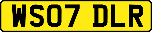 WS07DLR