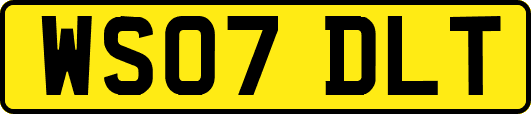 WS07DLT