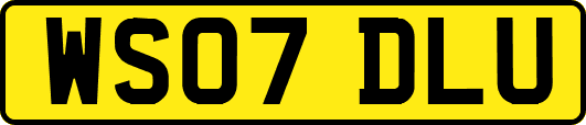 WS07DLU