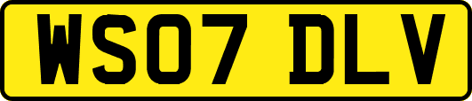 WS07DLV