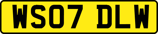 WS07DLW
