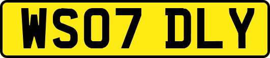 WS07DLY