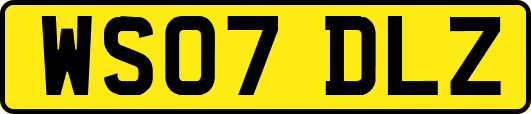 WS07DLZ