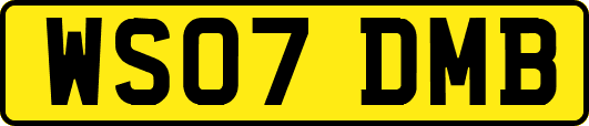 WS07DMB
