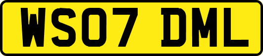 WS07DML
