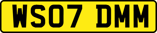 WS07DMM