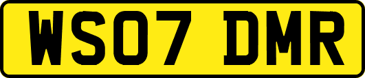 WS07DMR