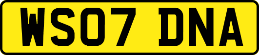 WS07DNA