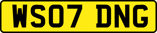 WS07DNG