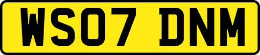WS07DNM